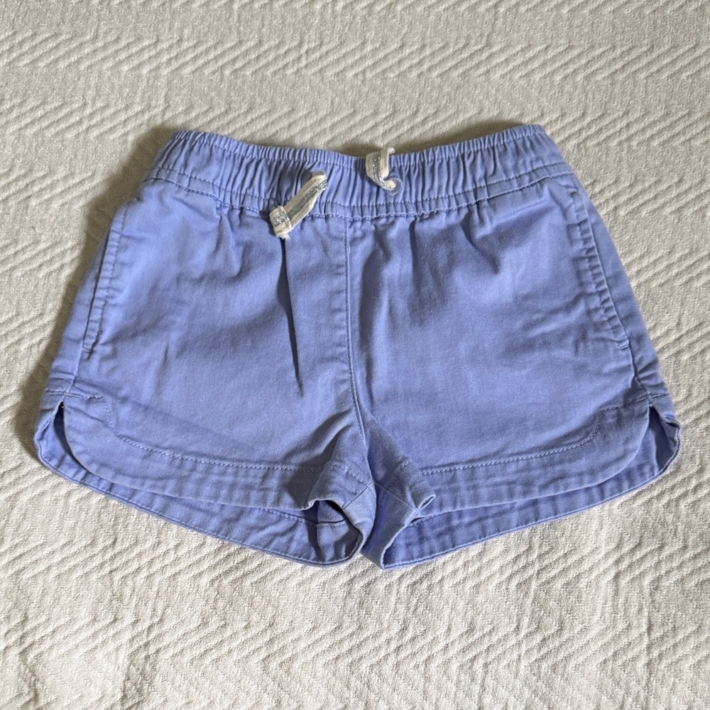 Crewcuts Light Blue / Purple Cotton Shorts